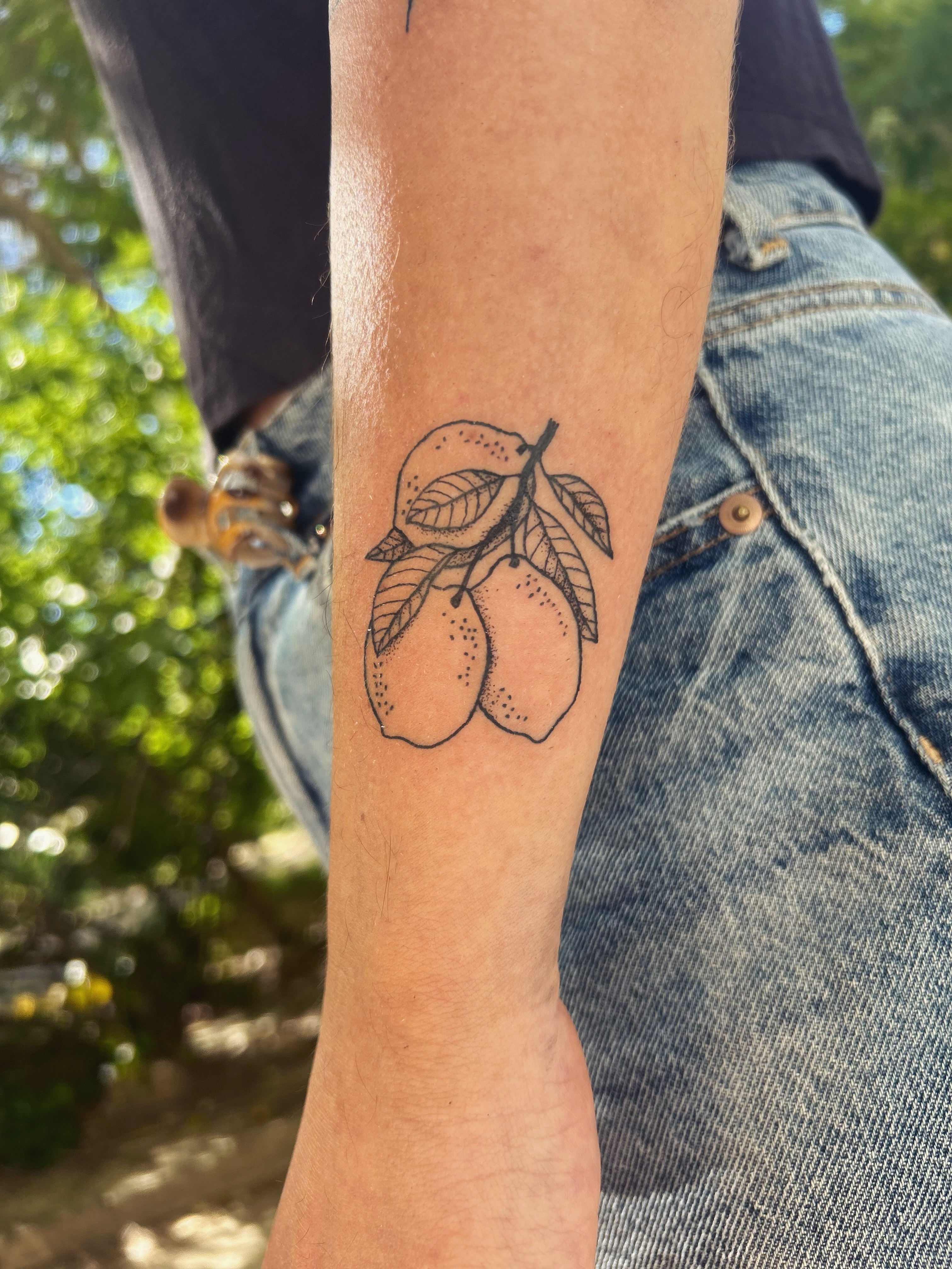 Tatouage branche de citrons sur l'avant-bras, fin trait noir