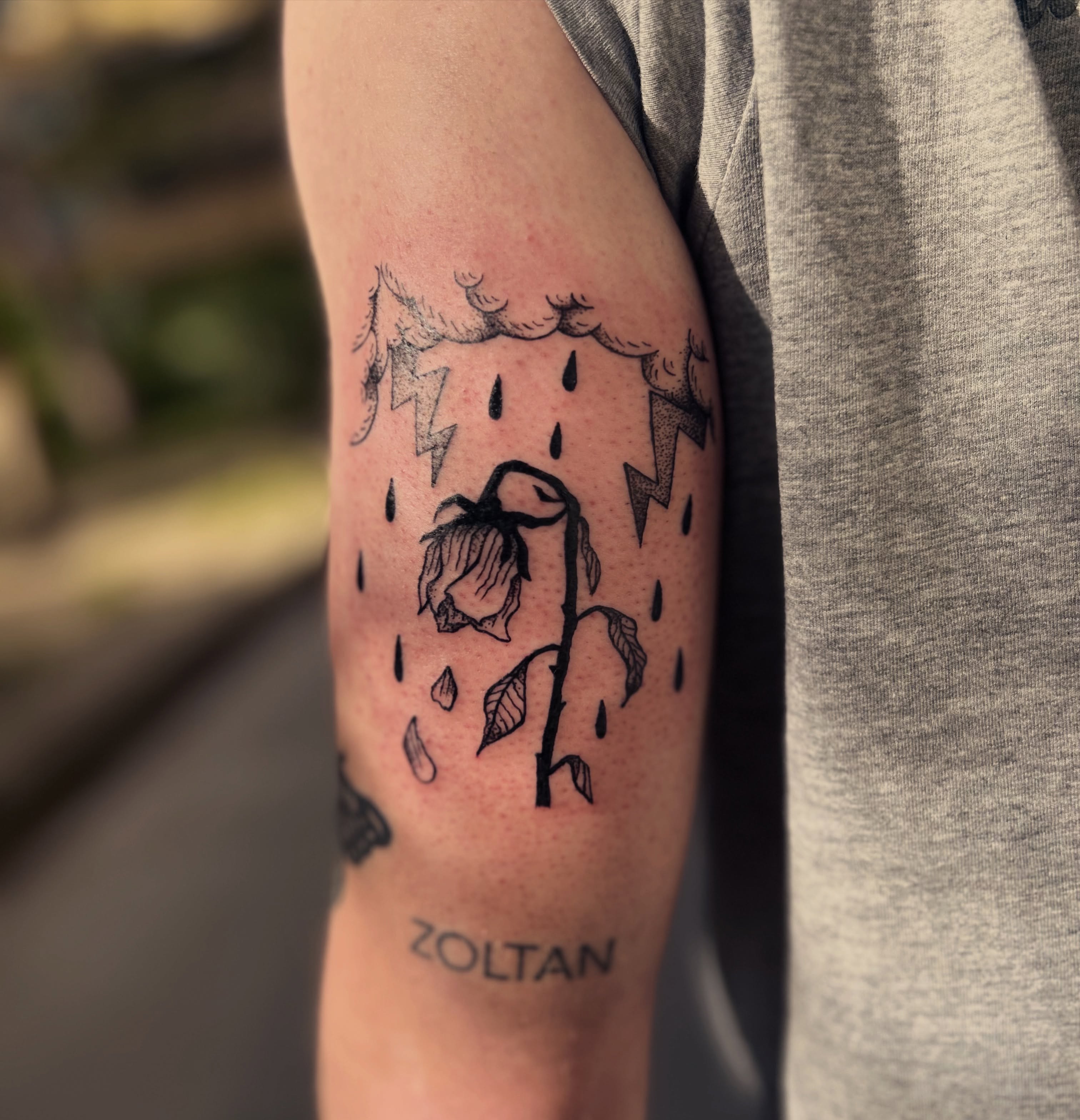 Tatouage rose fanee sous un nuage d'orage et la pluie sur le bras, noir et gris